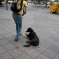CRW_4338.jpg
